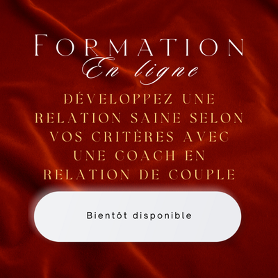 Formation-en-ligne-lidy-williams-1.png