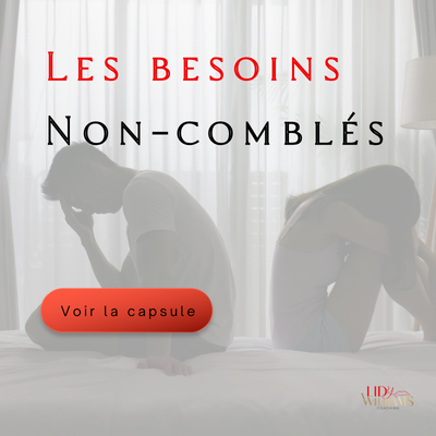 Les-besoins-non-combles.png